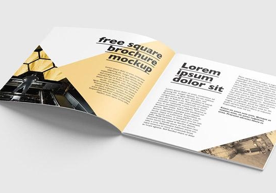 廣州木門畫冊設(shè)計(jì)制作 廣州制作畫冊公司