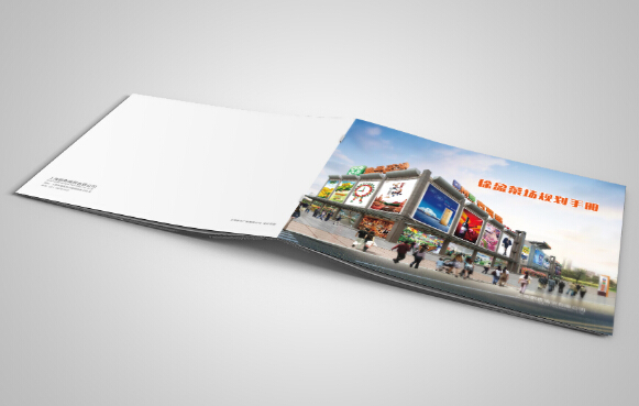 廣州廣告畫冊設計制作 廣州企業畫冊印刷供應