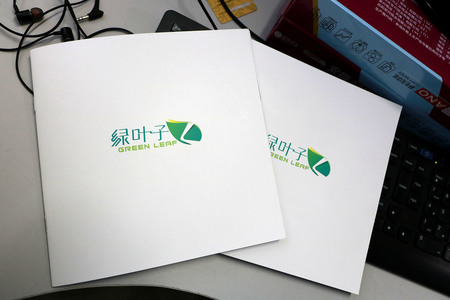 簡約畫冊設(shè)計